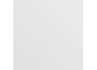 DPI Wall Paneling 4 Ft. X 8 Ft. X 1/8 In., White, Smooth