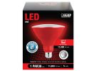 Feit Electric PAR38/R/10KLED/BX LED Bulb, Flood/Spotlight, PAR38 Lamp, E26 Lamp Base, Red Light (Pack of 4)