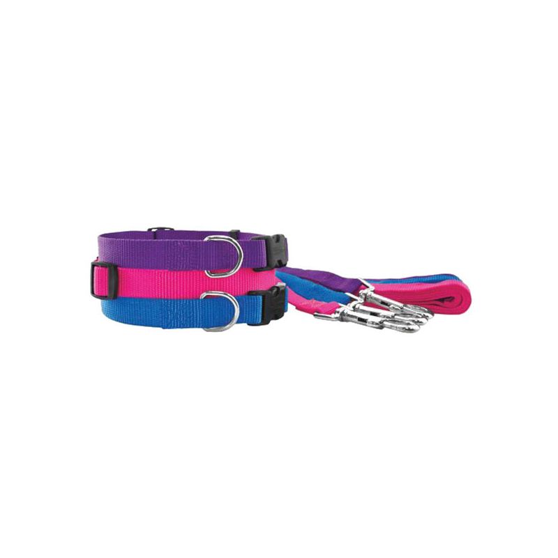 Ruffin&#039;It 34142 Dog Collar, 20 in L, 3/4 in W, Nylon, Blue/Pink/Purple Blue/Pink/Purple
